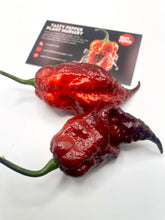 Load image into Gallery viewer, Two Fox Purple Naga Ruby peppers on a white surface with a nursery label in the background.