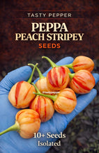 Load image into Gallery viewer, Hand holding striped peach peppers with 'Tasty Pepper' branding and text about peppa peach stripey seeds.