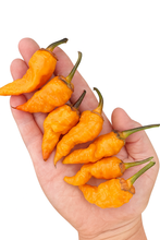 Load image into Gallery viewer, Hand holding Adrenaline f3 pods