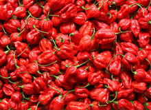 Load image into Gallery viewer, Red Habanero Peppers stock image