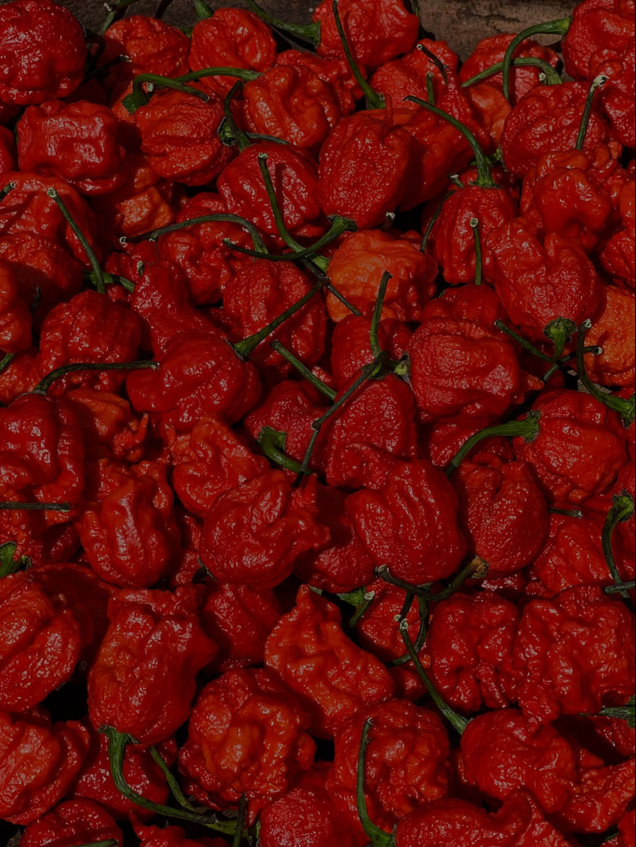 Carolina reaper