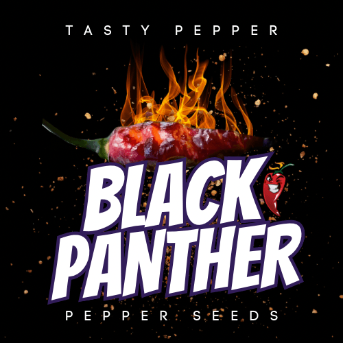 Black Panther Pepper Seeds - Tasty Pepper 