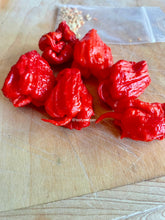 Load image into Gallery viewer, Carolina Reaper Plant
