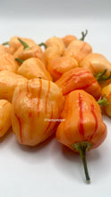 Load image into Gallery viewer, Peppa Peach Stripey Pepper Seeds

