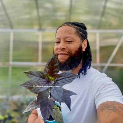 Duane Taylor- Milwaukee Pepper Grower