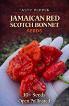 Load image into Gallery viewer, Jamaican Red Scotch Bonnet peppers held in a hand with text about seeds on a dark background
