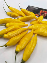 Load image into Gallery viewer, Lemon Drop chili peppers on a white surface with tasty pepper business card in the background.