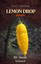 Load image into Gallery viewer, Lemon Drop Pepper pod hanging from plant