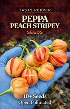 Load image into Gallery viewer, Hand holding Peppa Peach Stripey peppers with branding text overlay