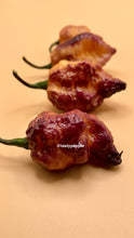 Load image into Gallery viewer, Pockmark peach peppers on a beige background with &#39;tastypepper&#39; branding.
