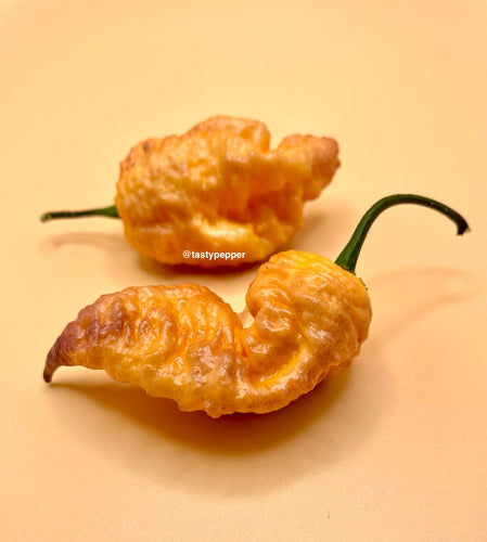 Two purple peach Carolina Reaper peppers on a beige background 