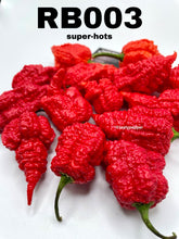 Load image into Gallery viewer, Red hot RB003 peppers 
