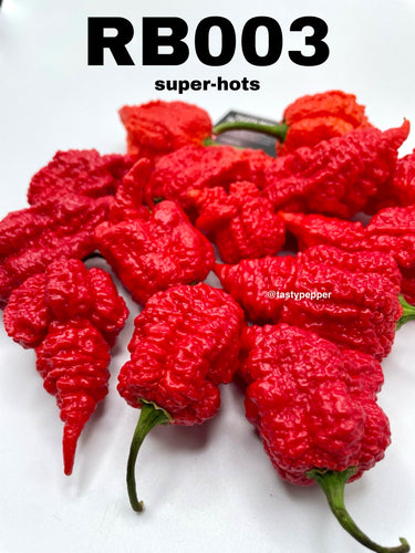 Red hot RB003 peppers 