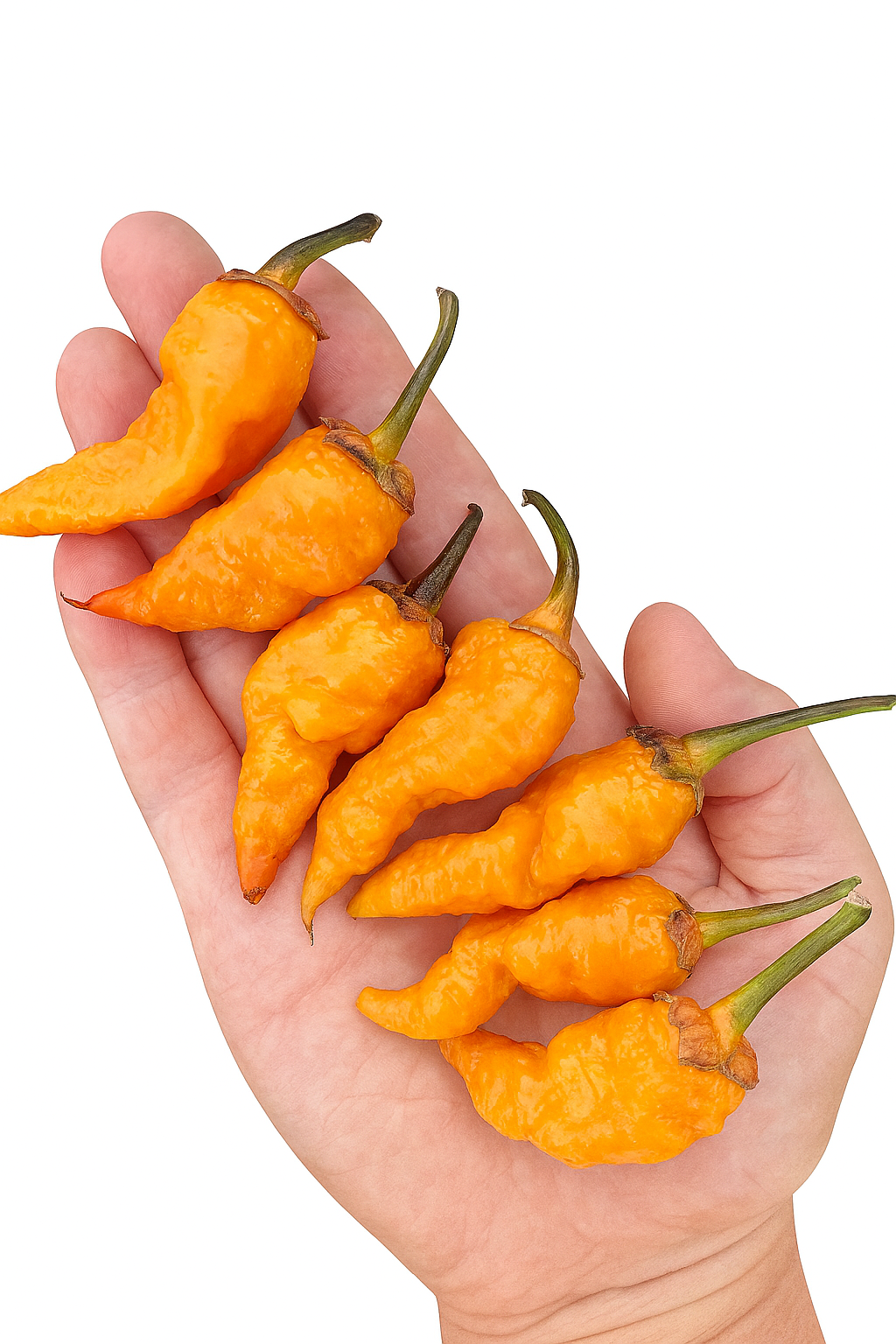 Hand holding Adrenaline f3 pods