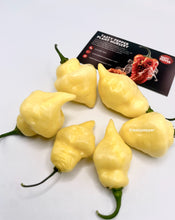 Load image into Gallery viewer, White UFO pepper plant with developing pods