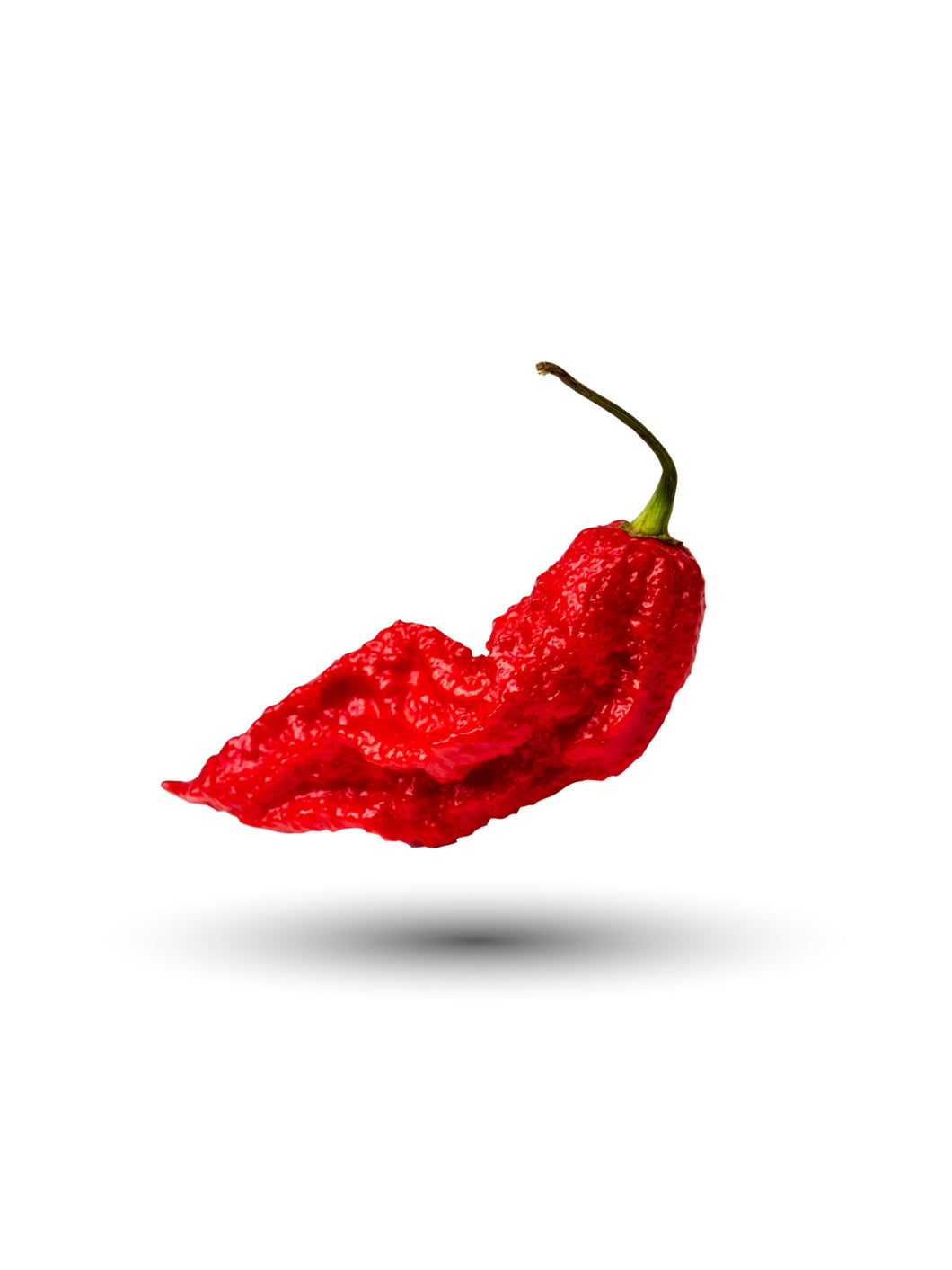 Ghost Pepper Seed