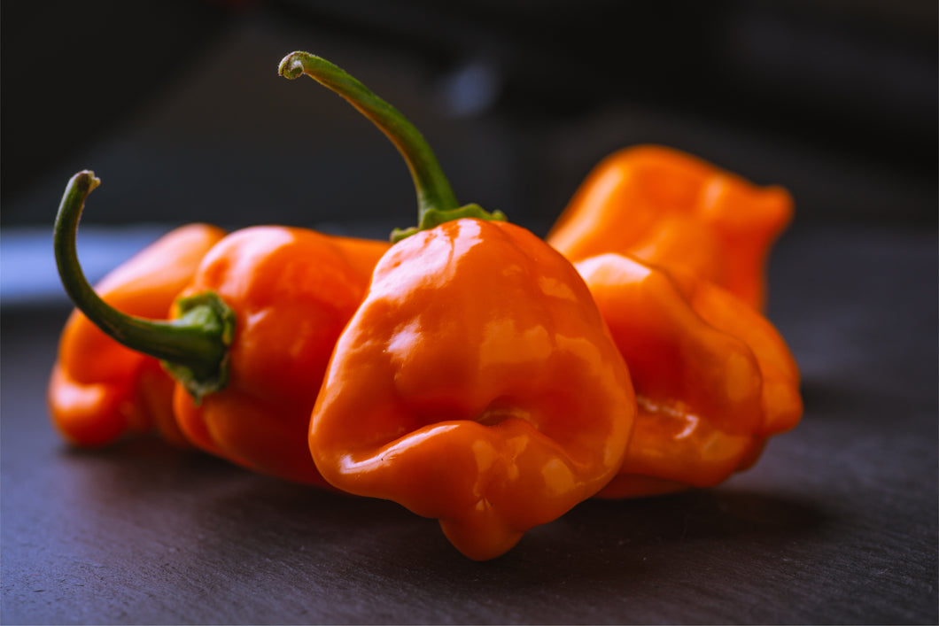 Orange Habanero Peppers