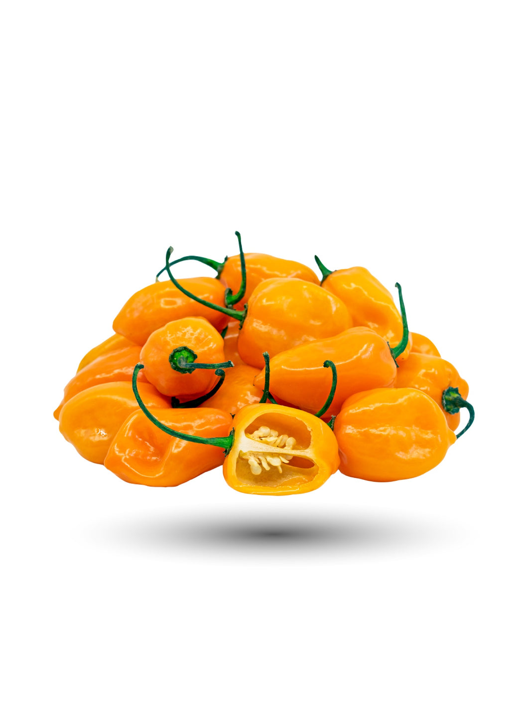 Orange Habanero Seed