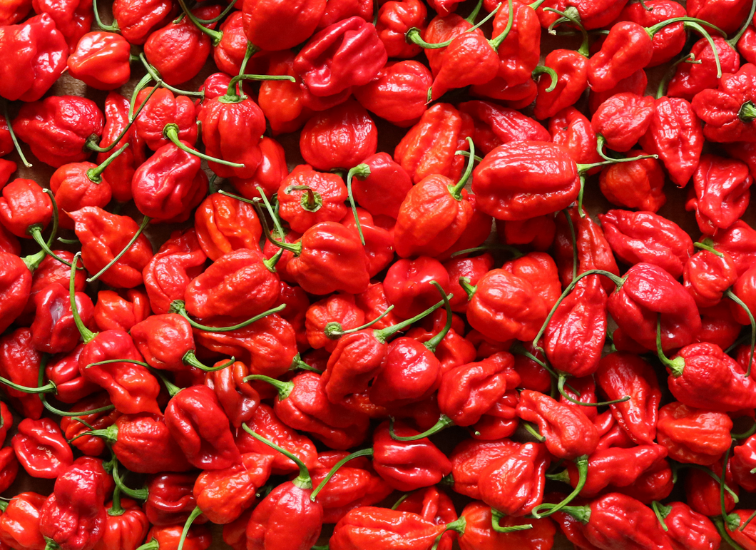 Red Habanero Peppers