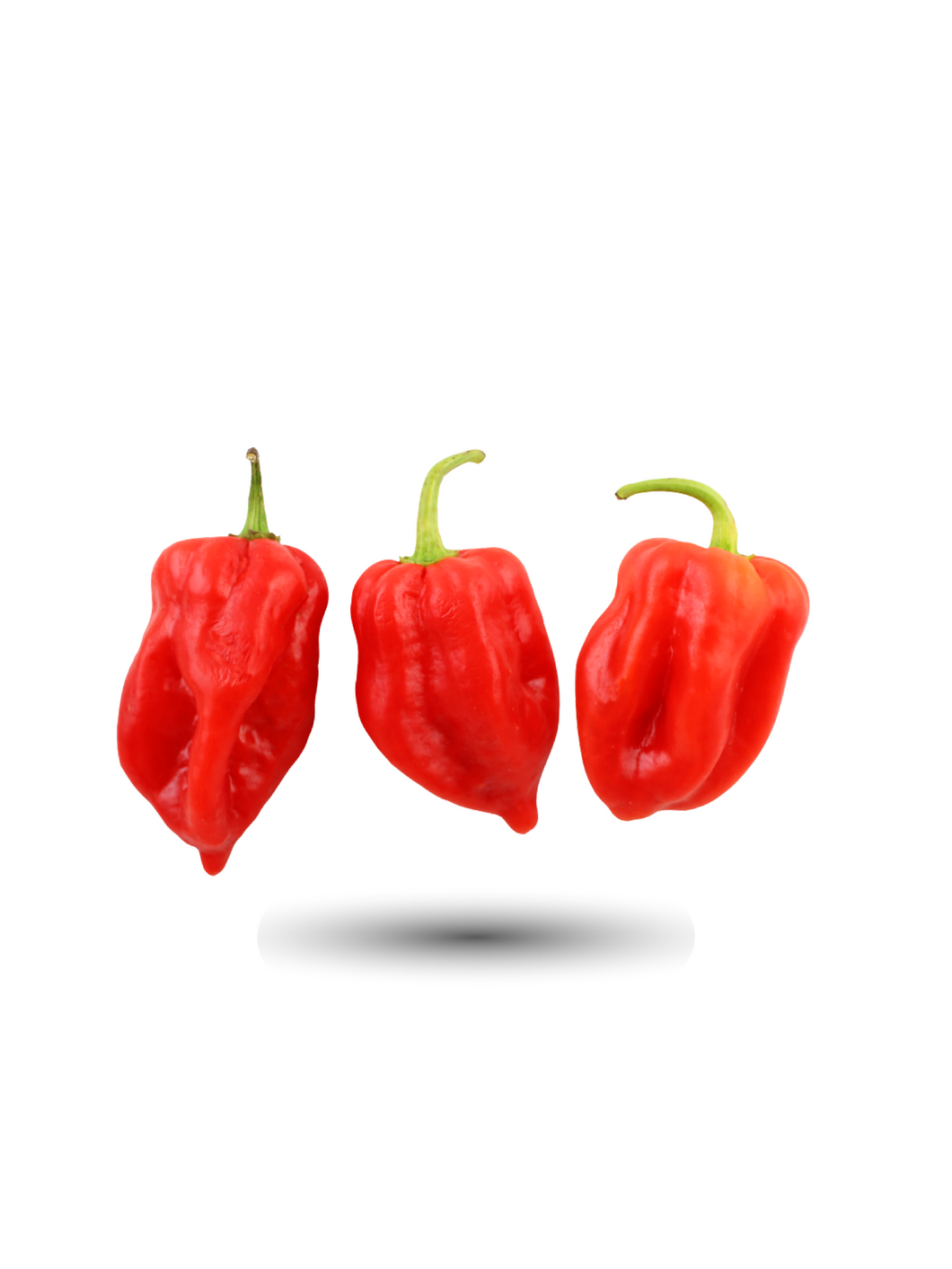 Red Habanero Seeds