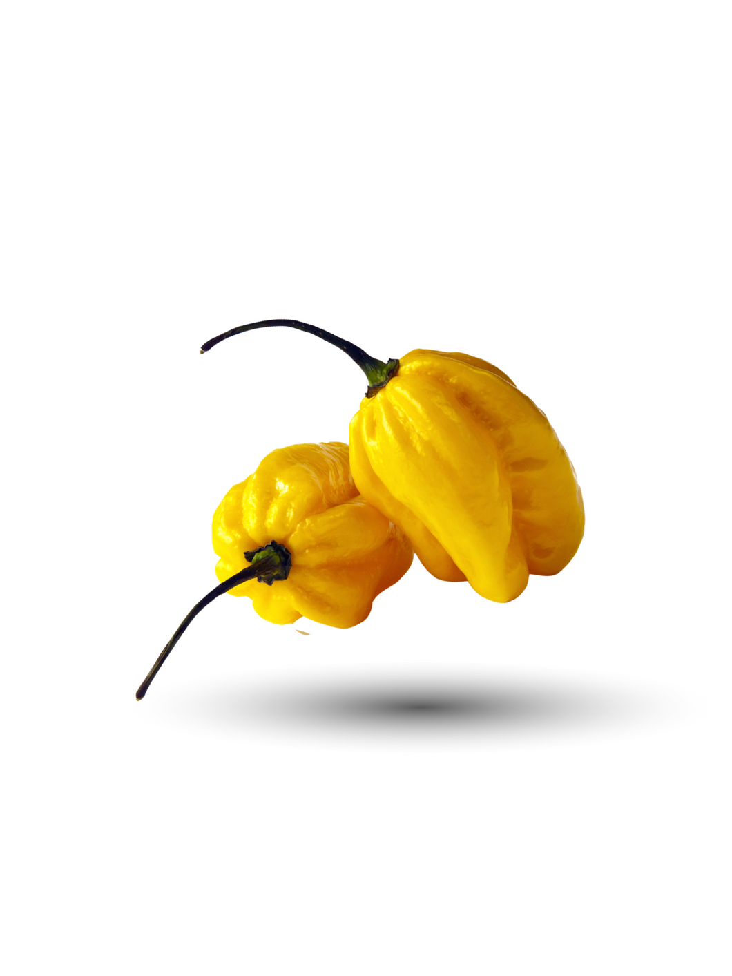 Yellow Habanero Pepper Seed