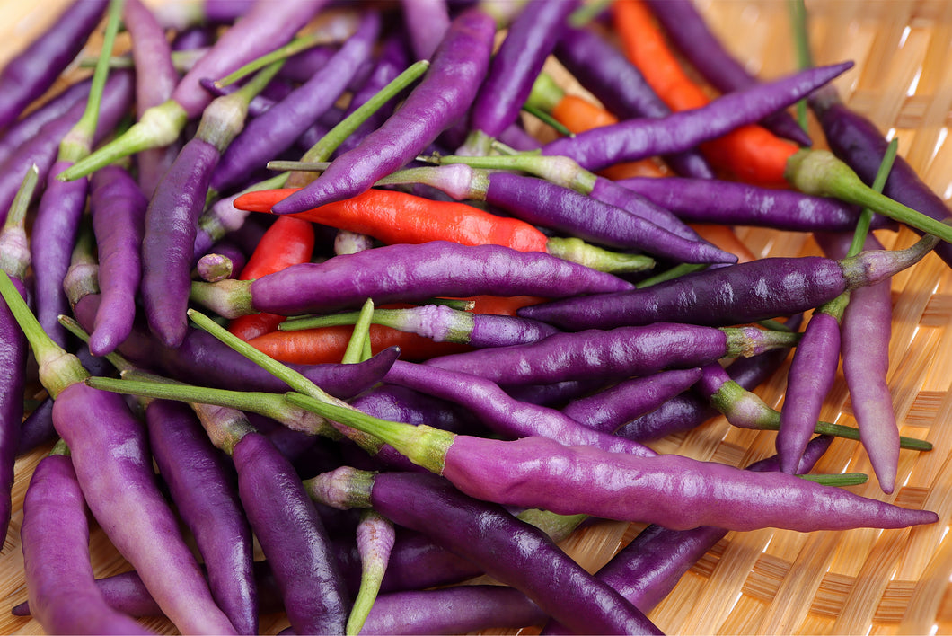 Purple Cayenne Peppers