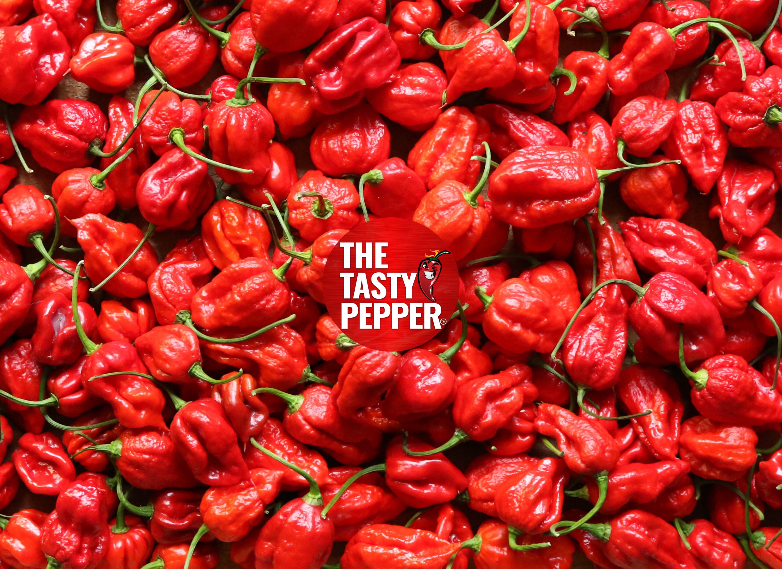 Tasty Pepper Brand Logo